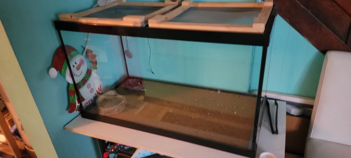 Glass Aquarium Tank