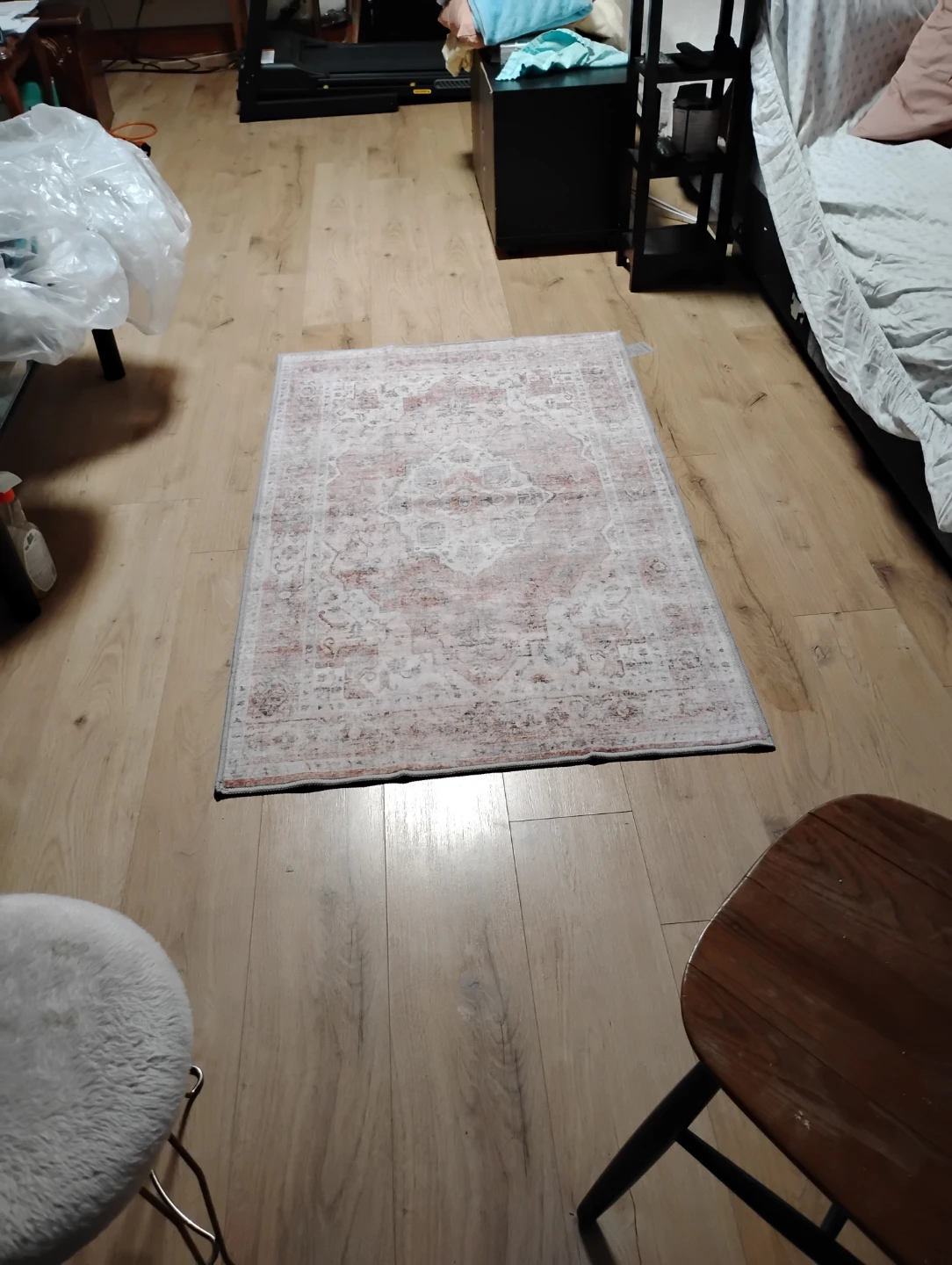 Persian Style Area Rug