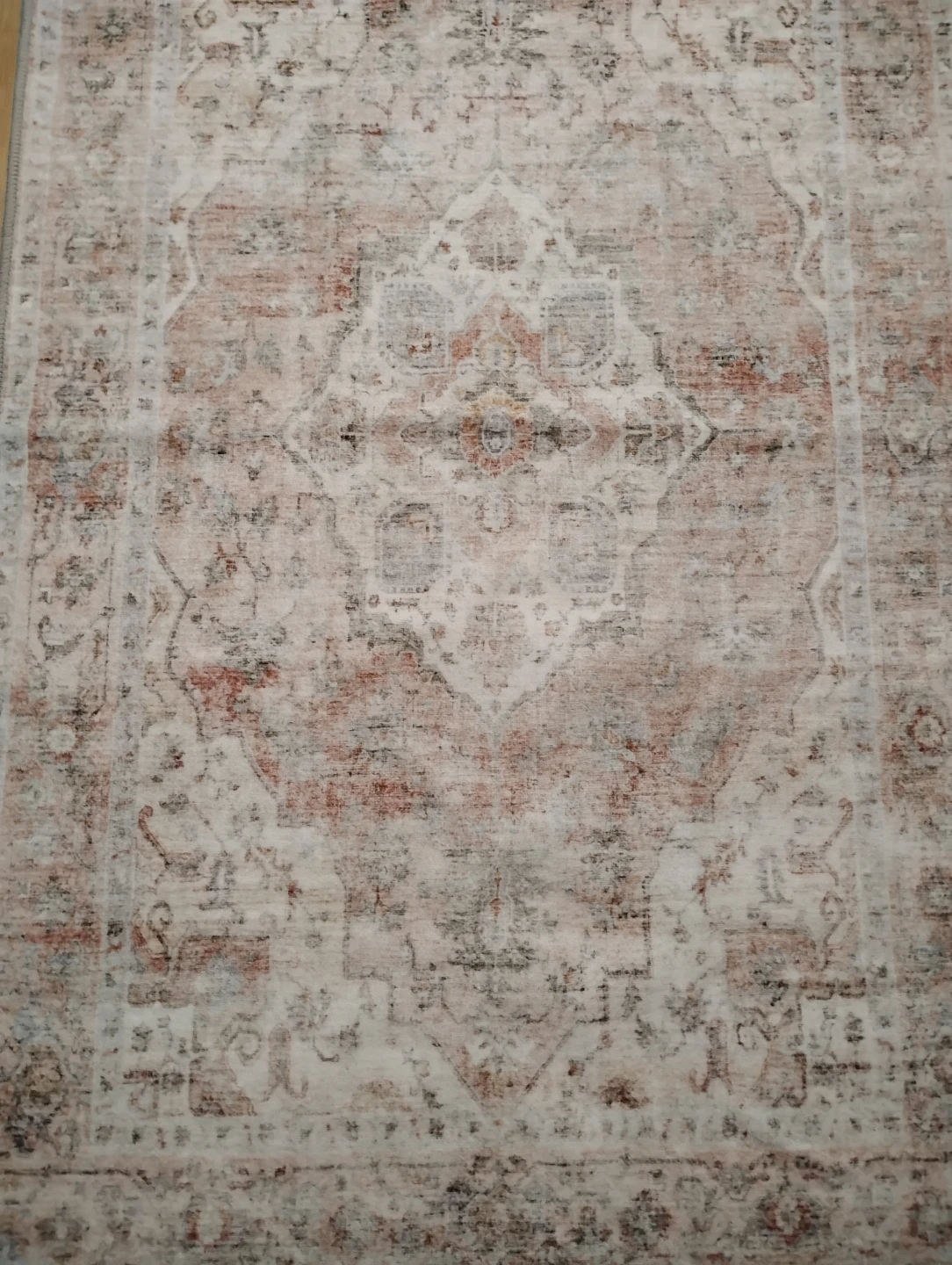 Persian Style Area Rug - photo 3