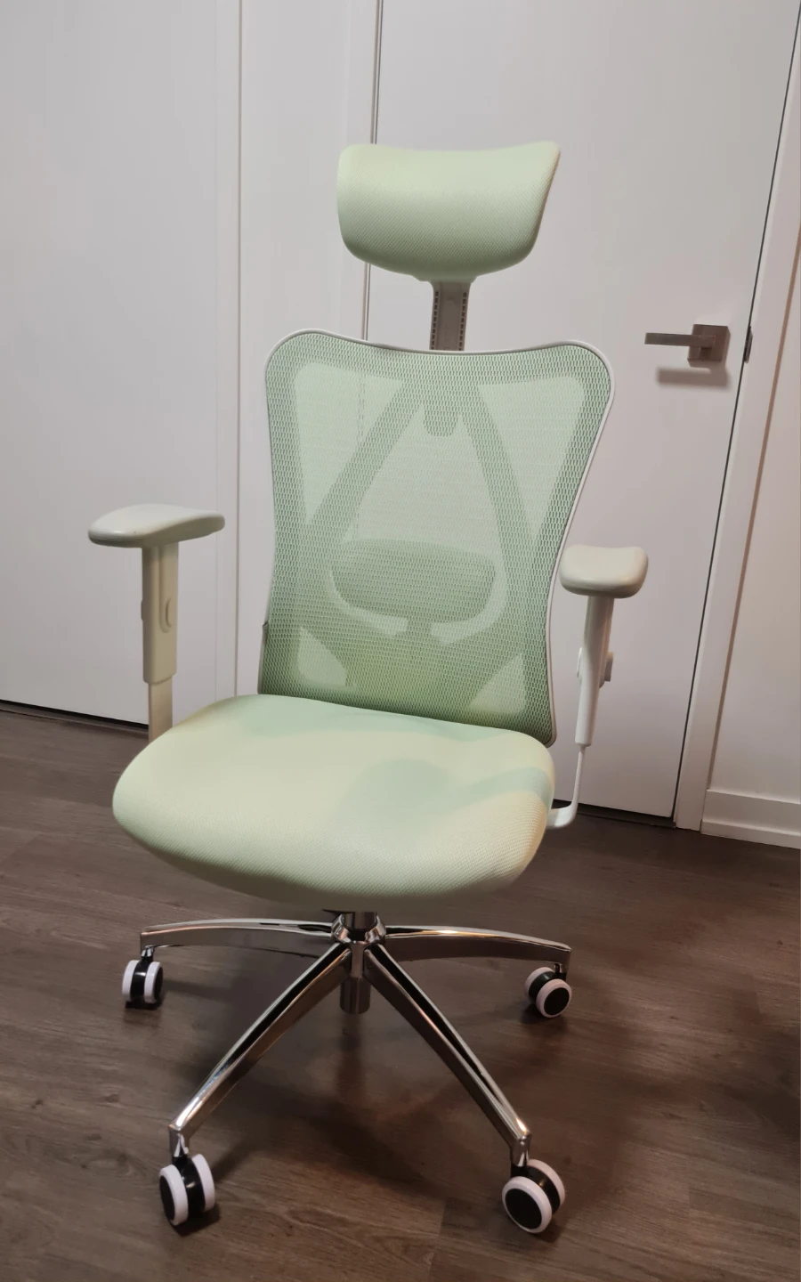 SIHOO M18 Ergonomic Office Chair (Green)