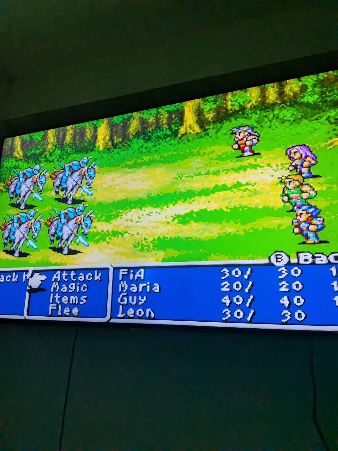 Final Fantasy I & II: Dawn of Souls Game Boy Advance Game - photo 3