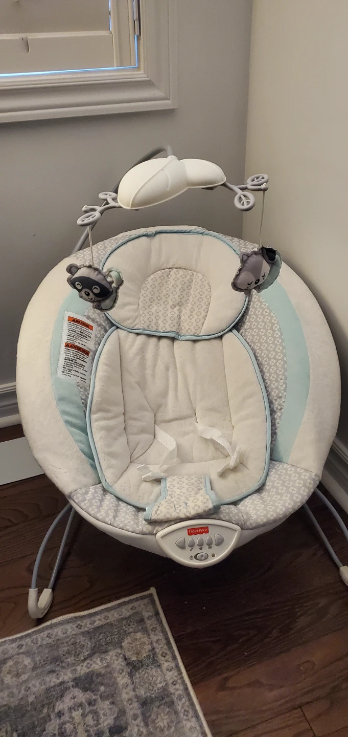 Fisher-Price Moonlight Meadow Deluxe Bouncer - photo 2