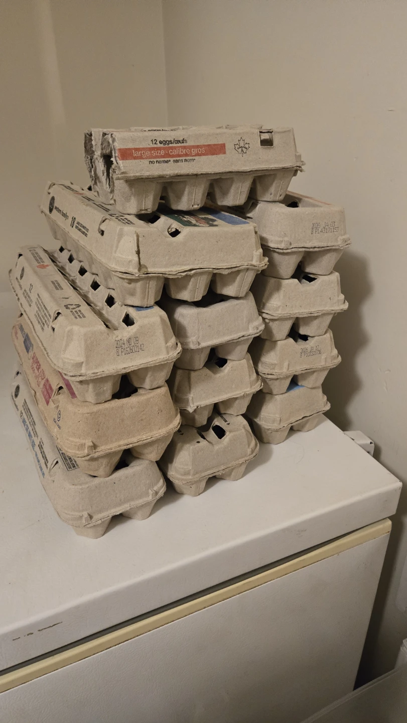 Mixed Lot of Egg Cartons - Various Brands - photo 2
