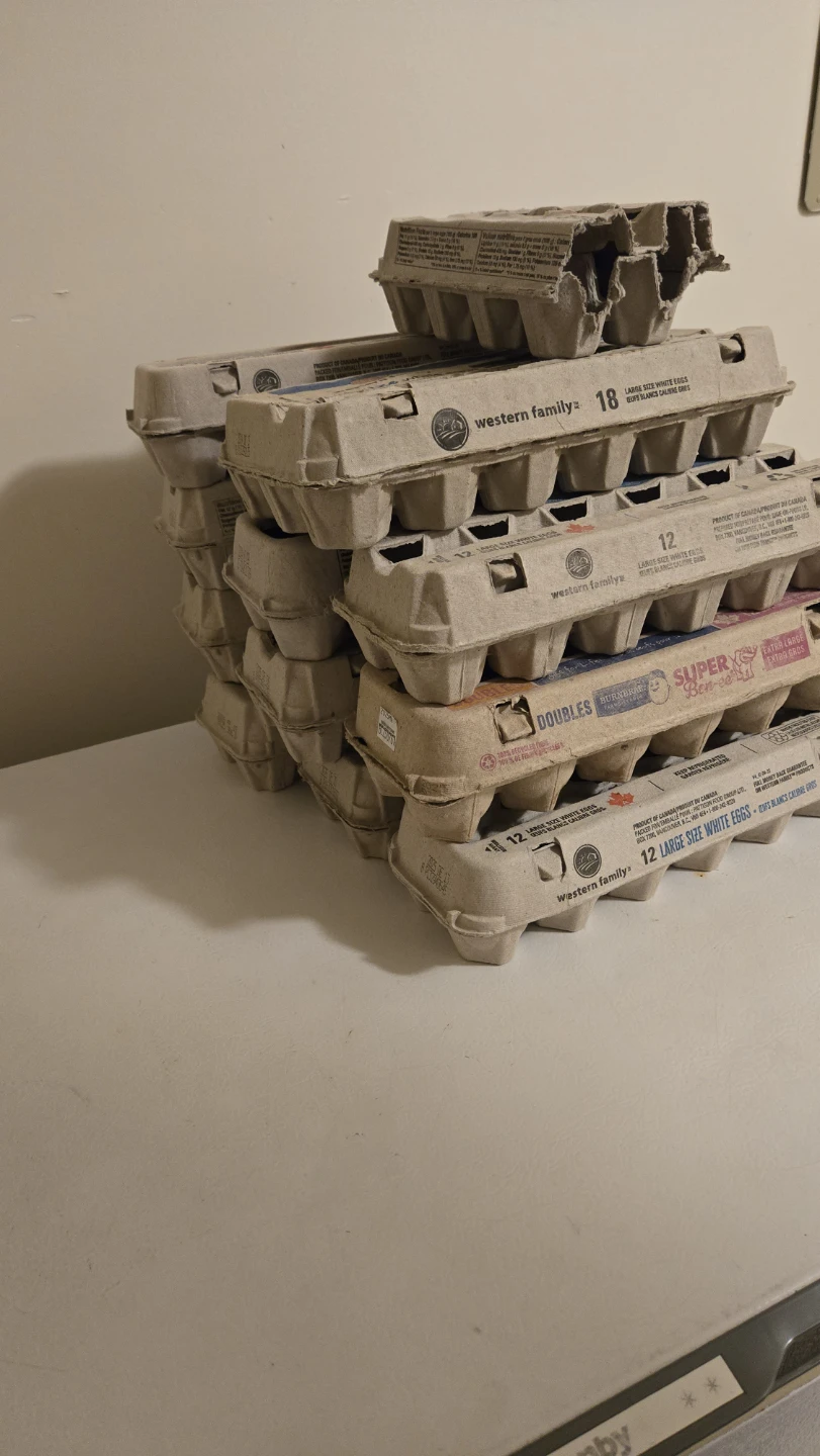 Mixed Lot of Egg Cartons - Various Brands - photo 3