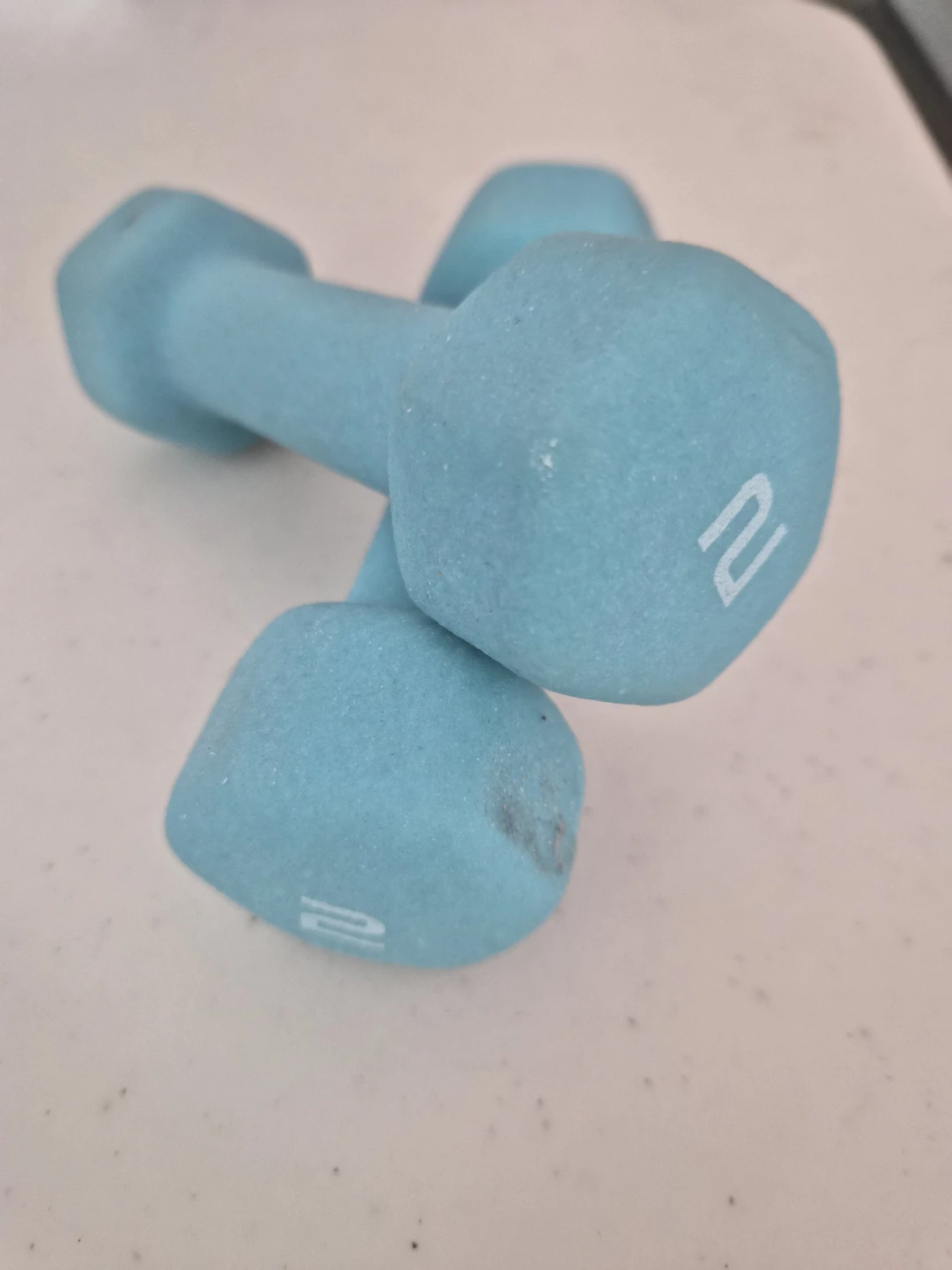 Light Blue 2lb Dumbbells (Pair)