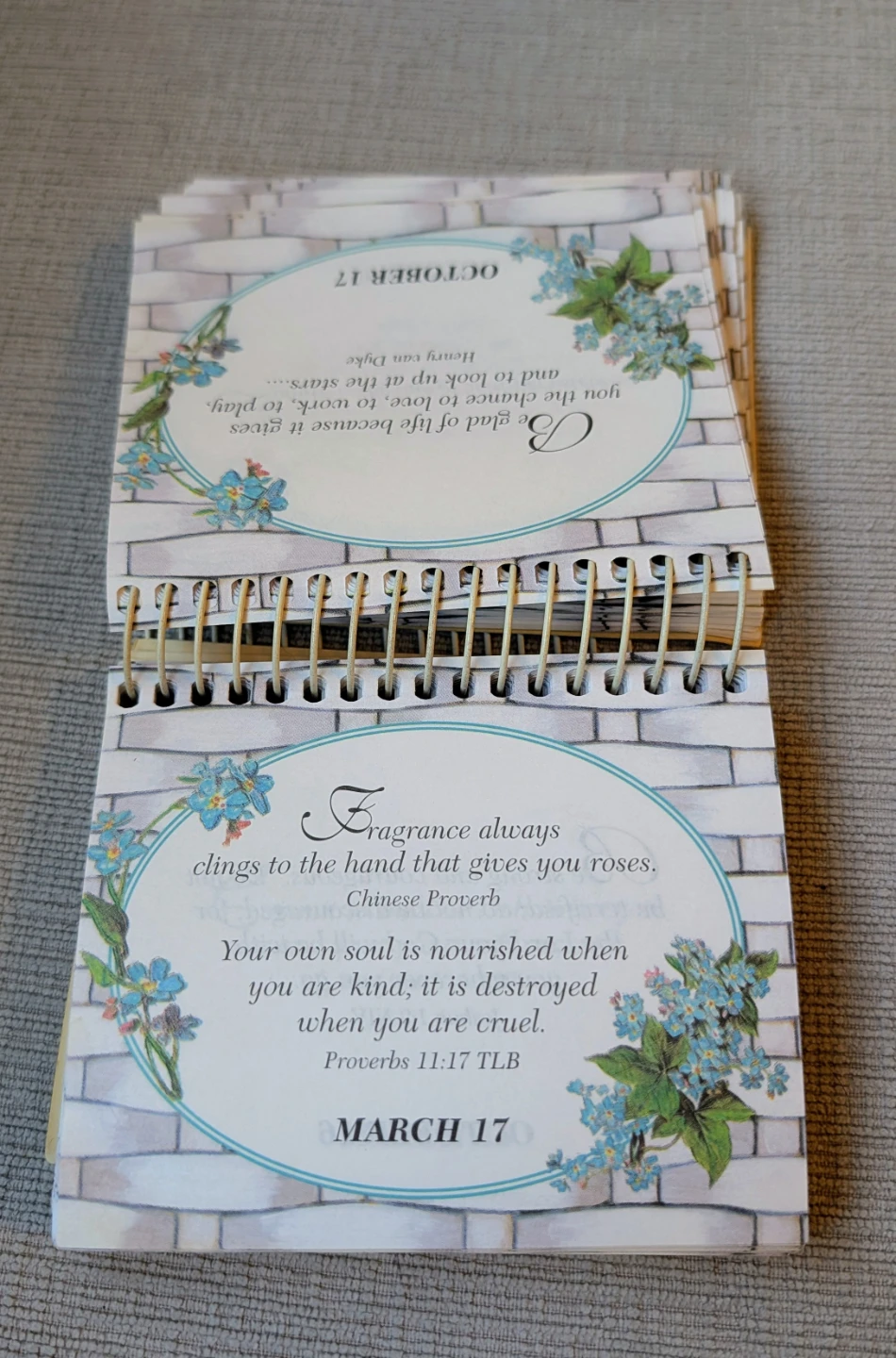 Daily Calendar for Daughter - photo 2