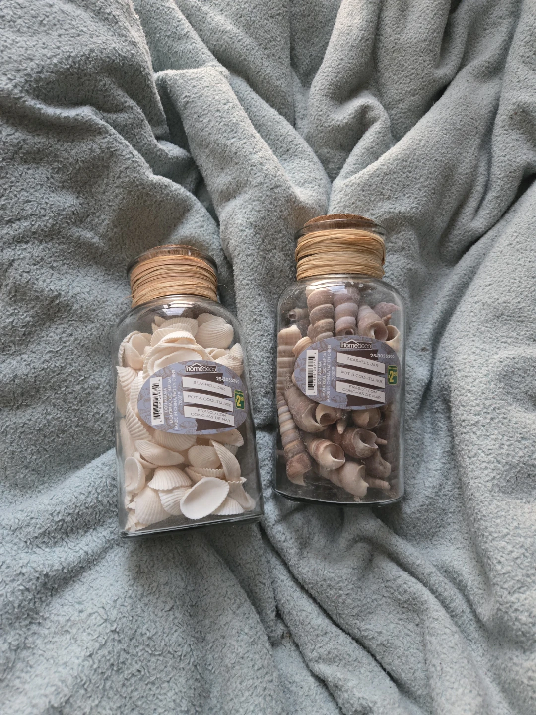Home Decor Seashell Jars (Set of 2)