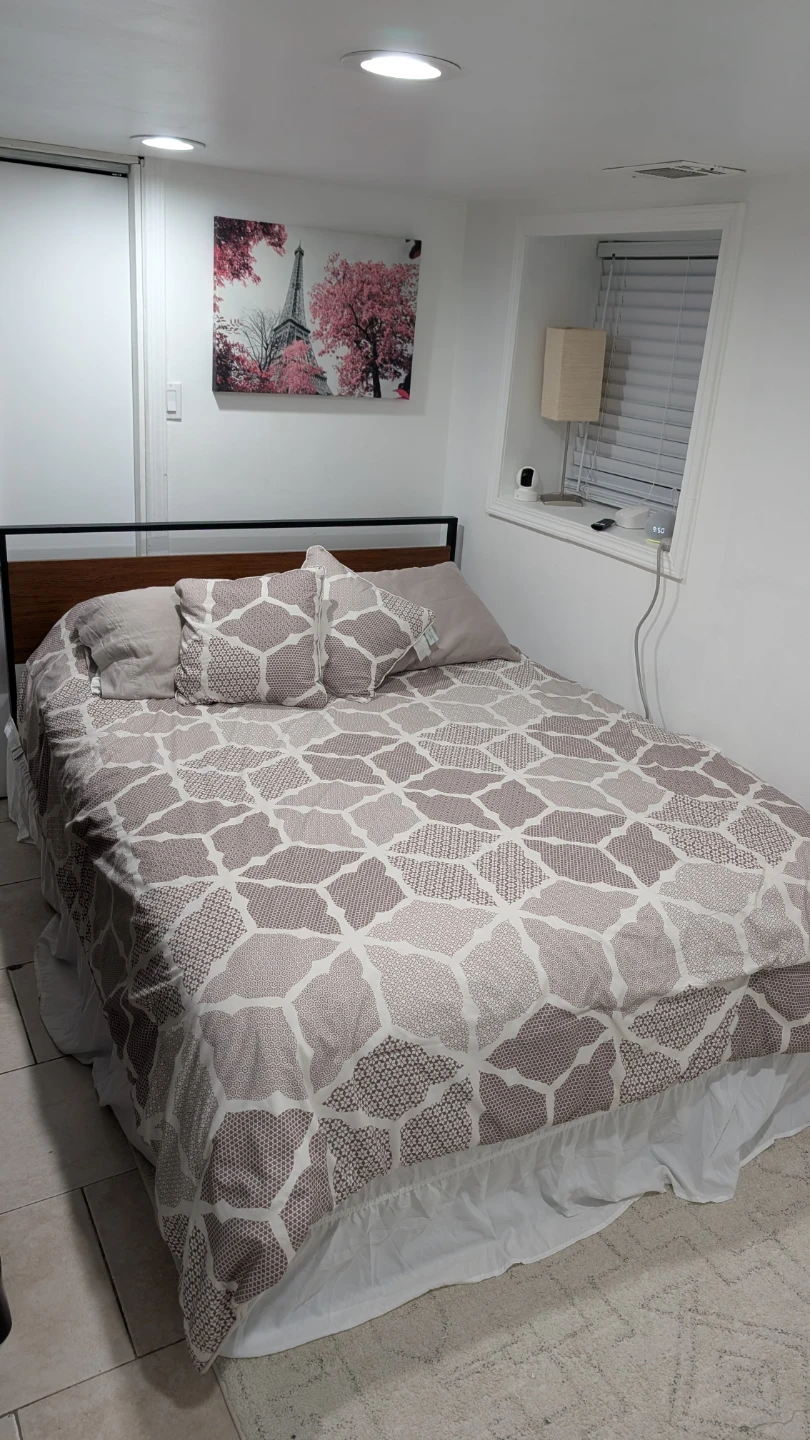Queen Bedding Set with Decorative Pillows - photo 2