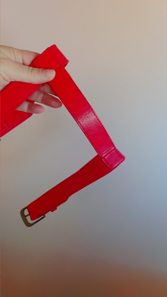 Red leather with Gold Buckle Dog Harness - photo 5