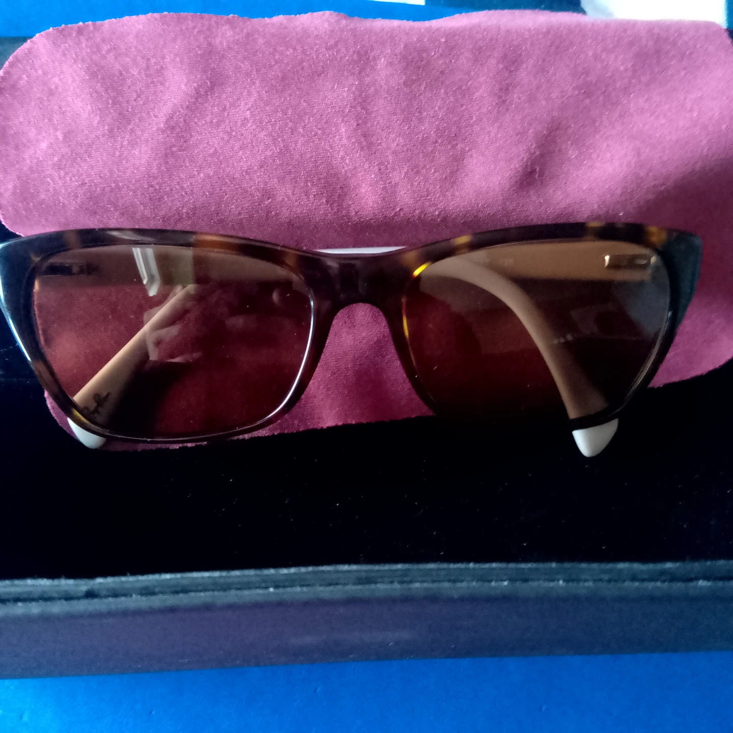 Ray-Ban Sunglasses