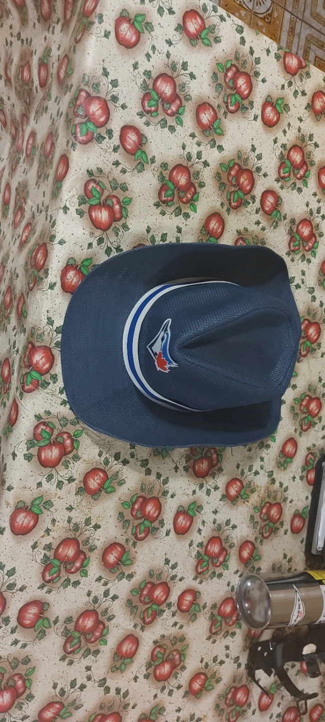 Toronto Blue Jays Baseball Hat