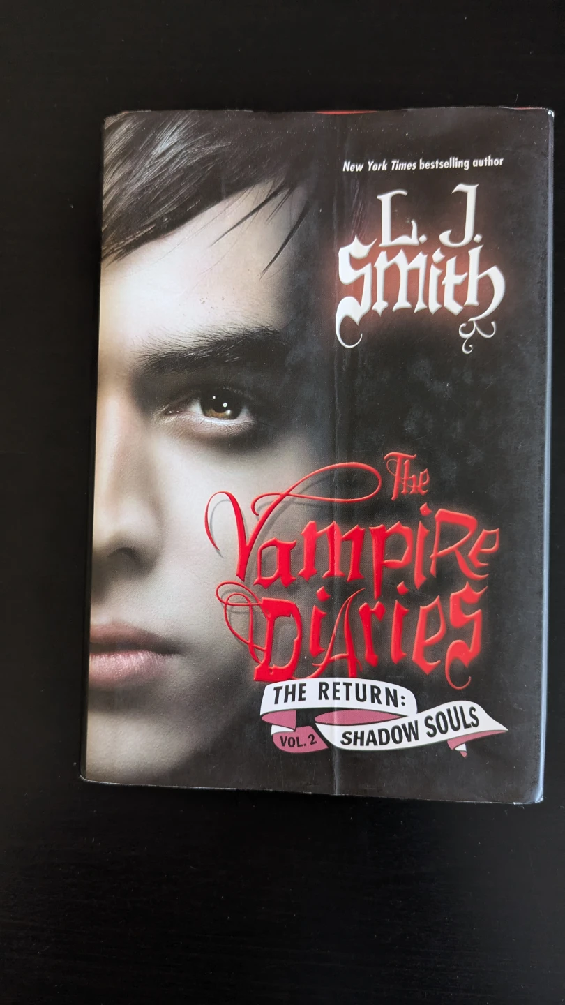 L.J. Smith The Vampire Diaries Book Lot - photo 4