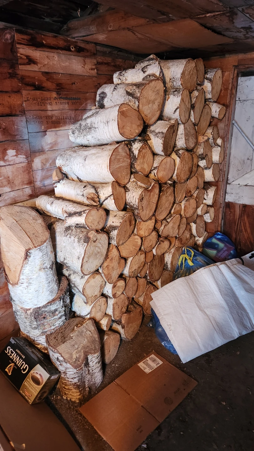 Birch Firewood Logs,  cured 8 years.  LOTS