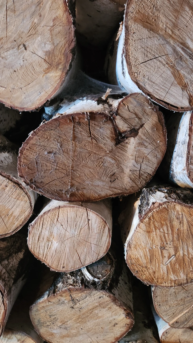 Birch Firewood Logs,  cured 8 years.  LOTS - photo 2