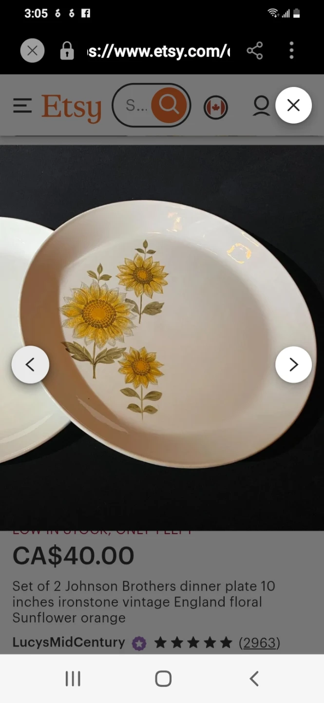 Johnson Brothers Ironstone Dinner Plates (Set of 2) - 10 Inch
