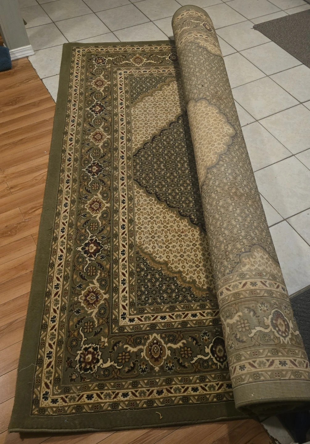 Area Rug - Traditional Pattern