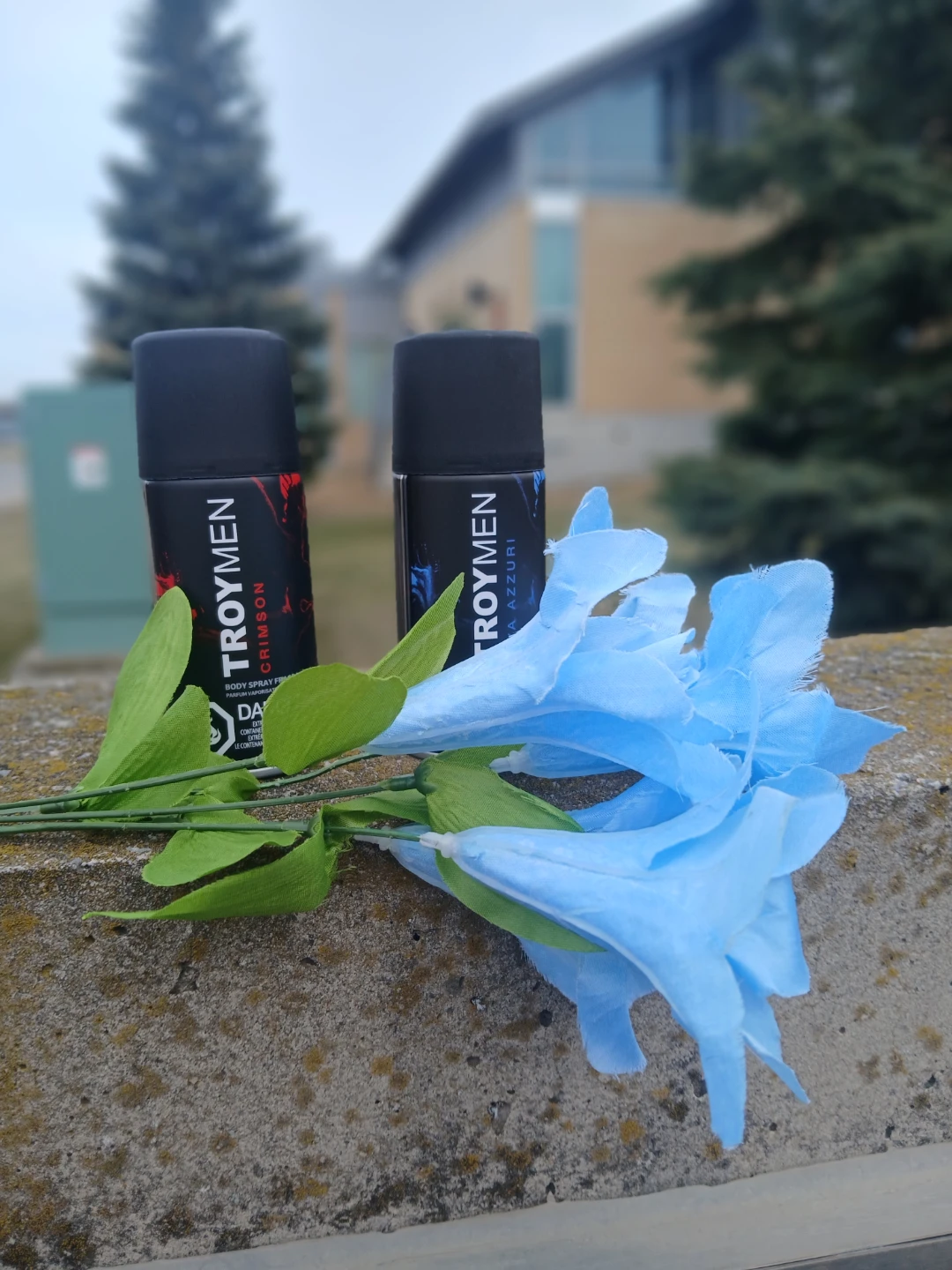 Troy Men Crimson & Viva Azzurri Body Spray Duo
