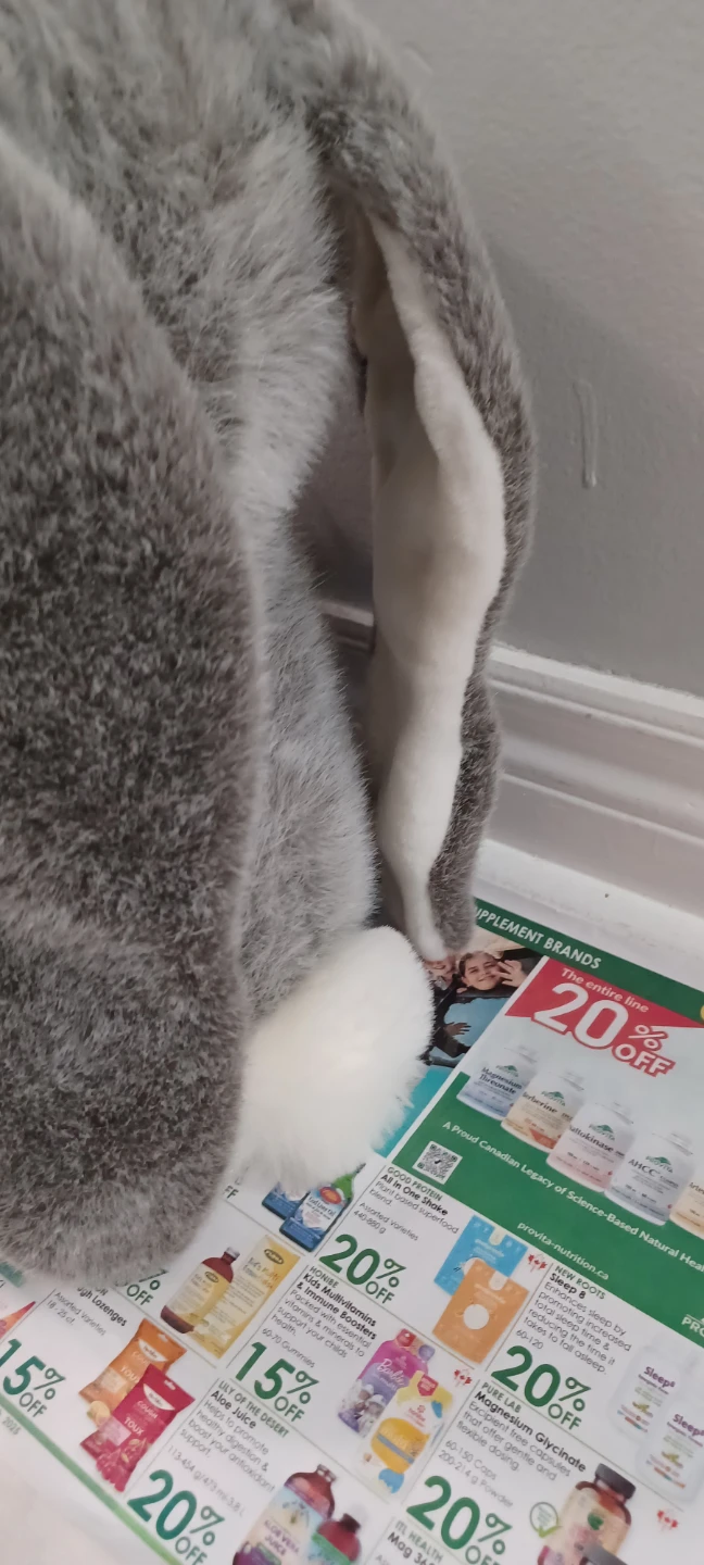 Plush Grey Bunny with Basket - photo 4