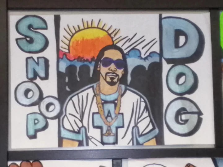 Framed Hip Hop Art Collage room dividers or change room dividers - photo 2