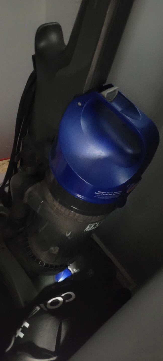 Dyson Ball Vacuum Cleaner🥕
