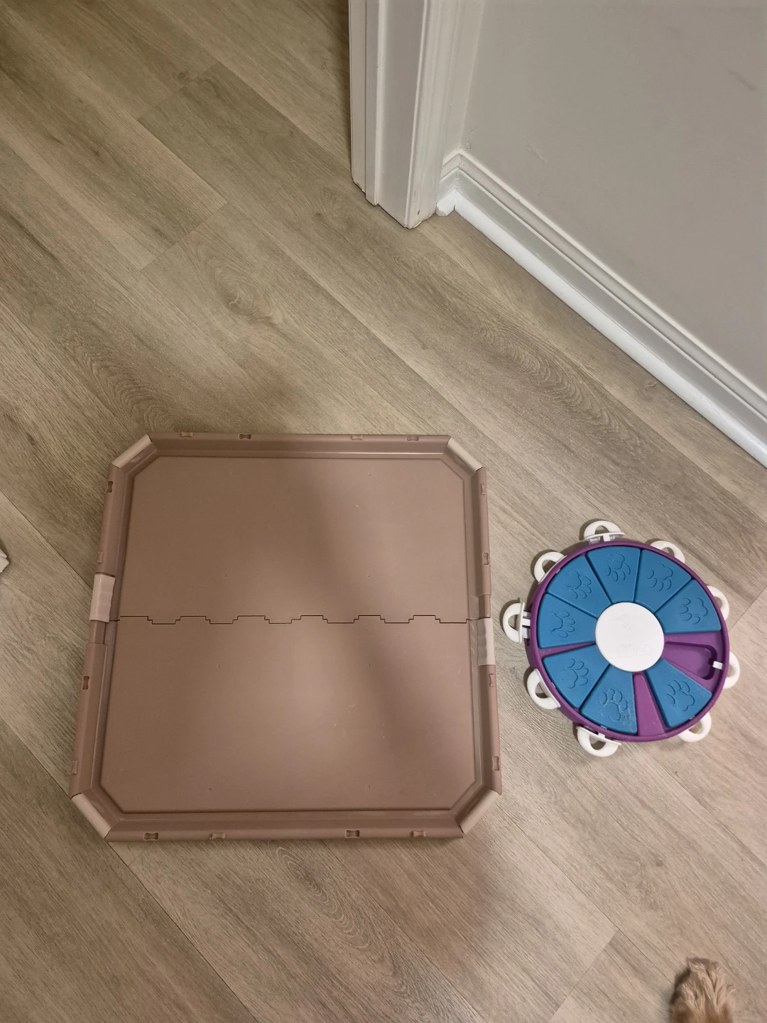 Tan Pet Training Pad Holder Tray