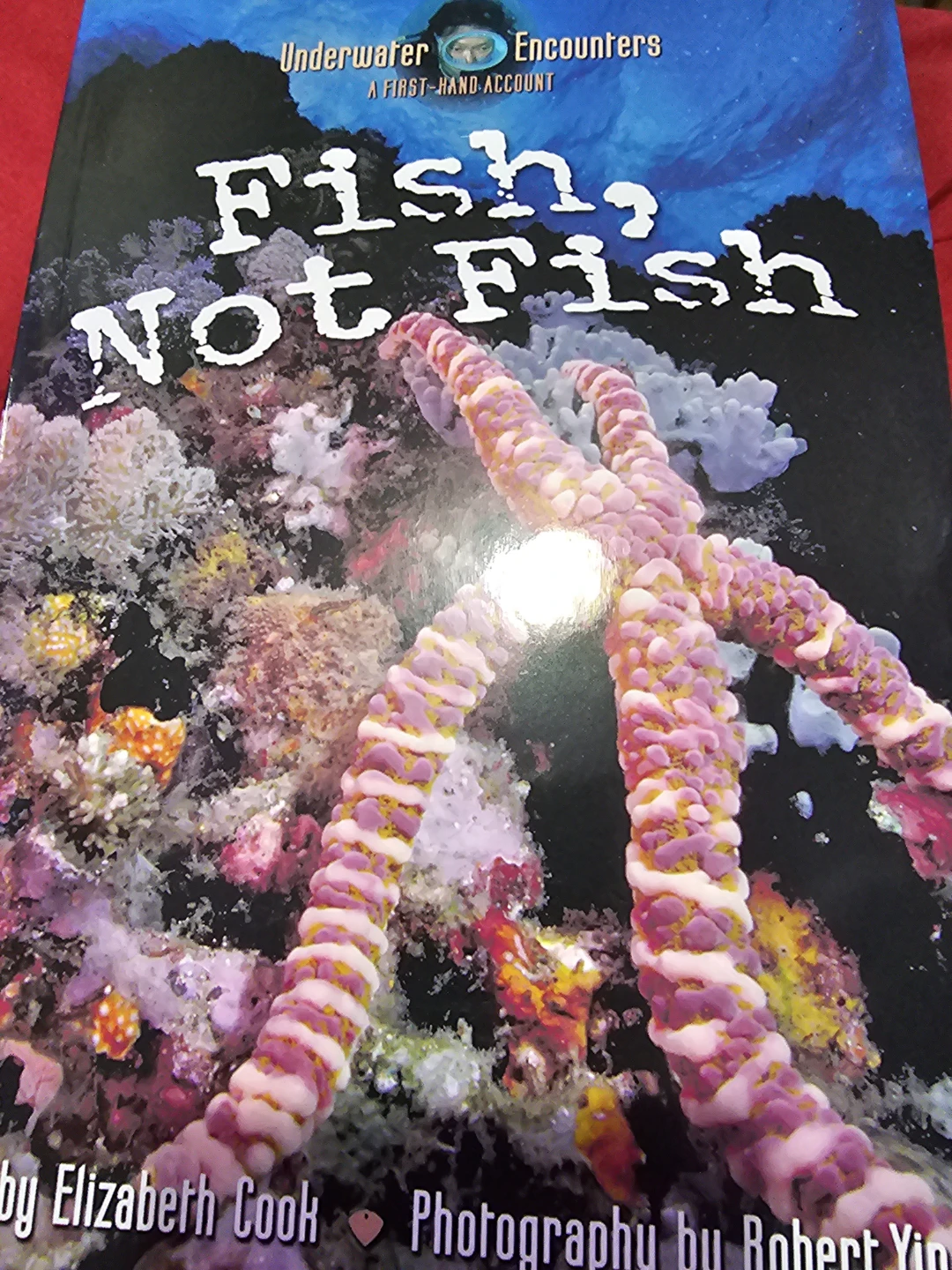 Fish, Not Fish: Underwater Encounters Book
