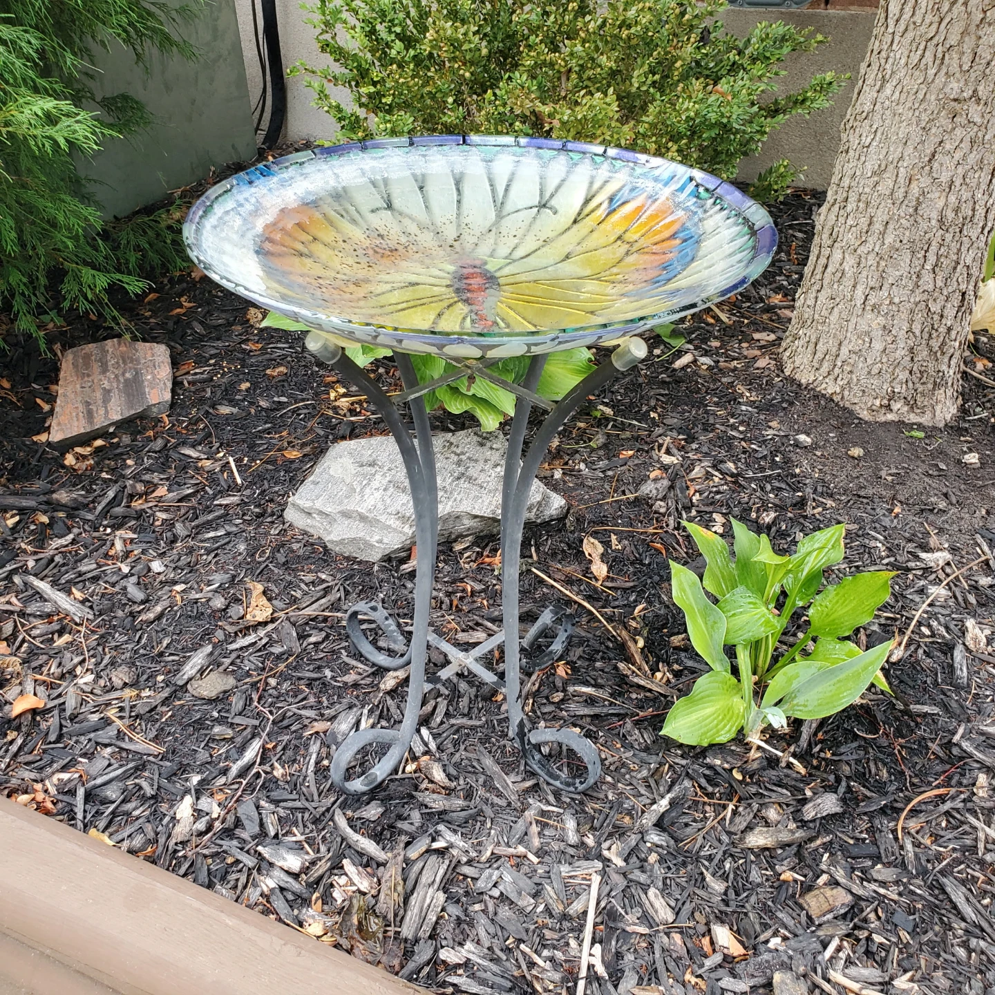 BIRD BATH