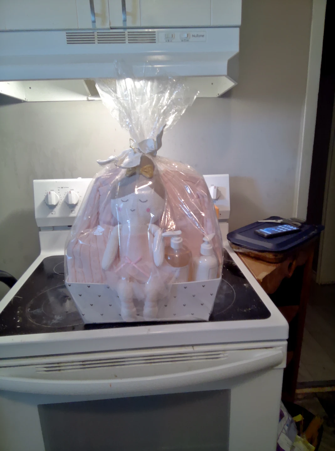 Baby Gift Basket with Plush Toy and Toiletries