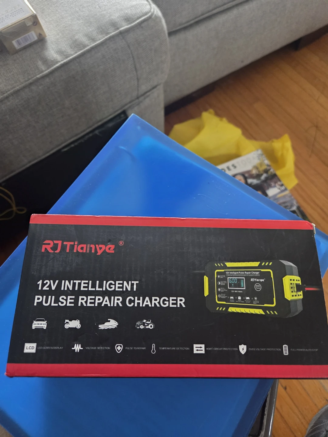 RJ Tianye 12V Intelligent Pulse Repair Charger
