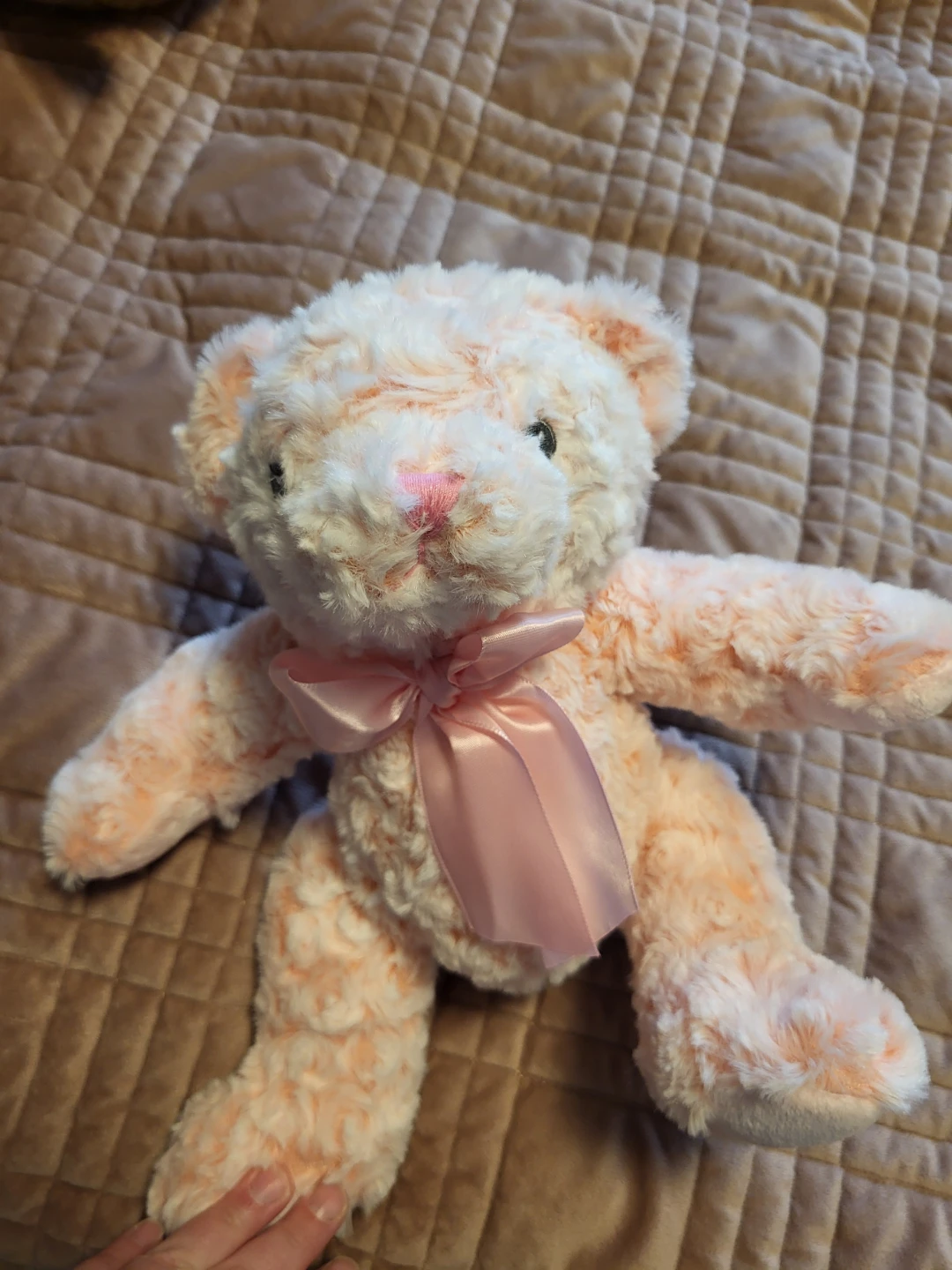 Pink Teddy Bear with Bow