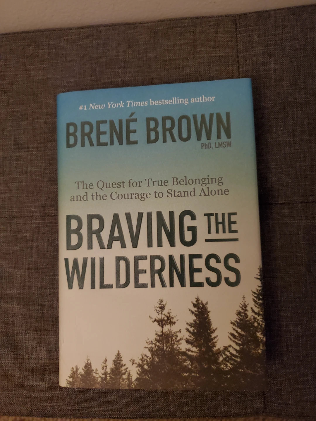 Braving the Wilderness by Brené Brown