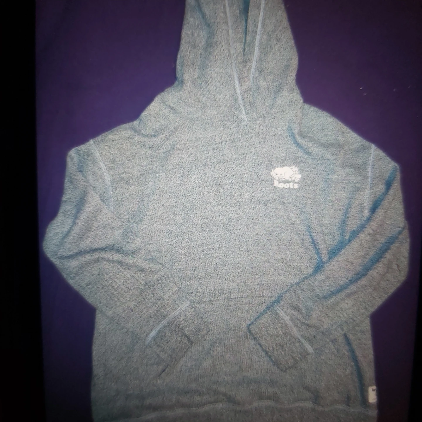 Roots Grey Hoodie and Sweatpants Set