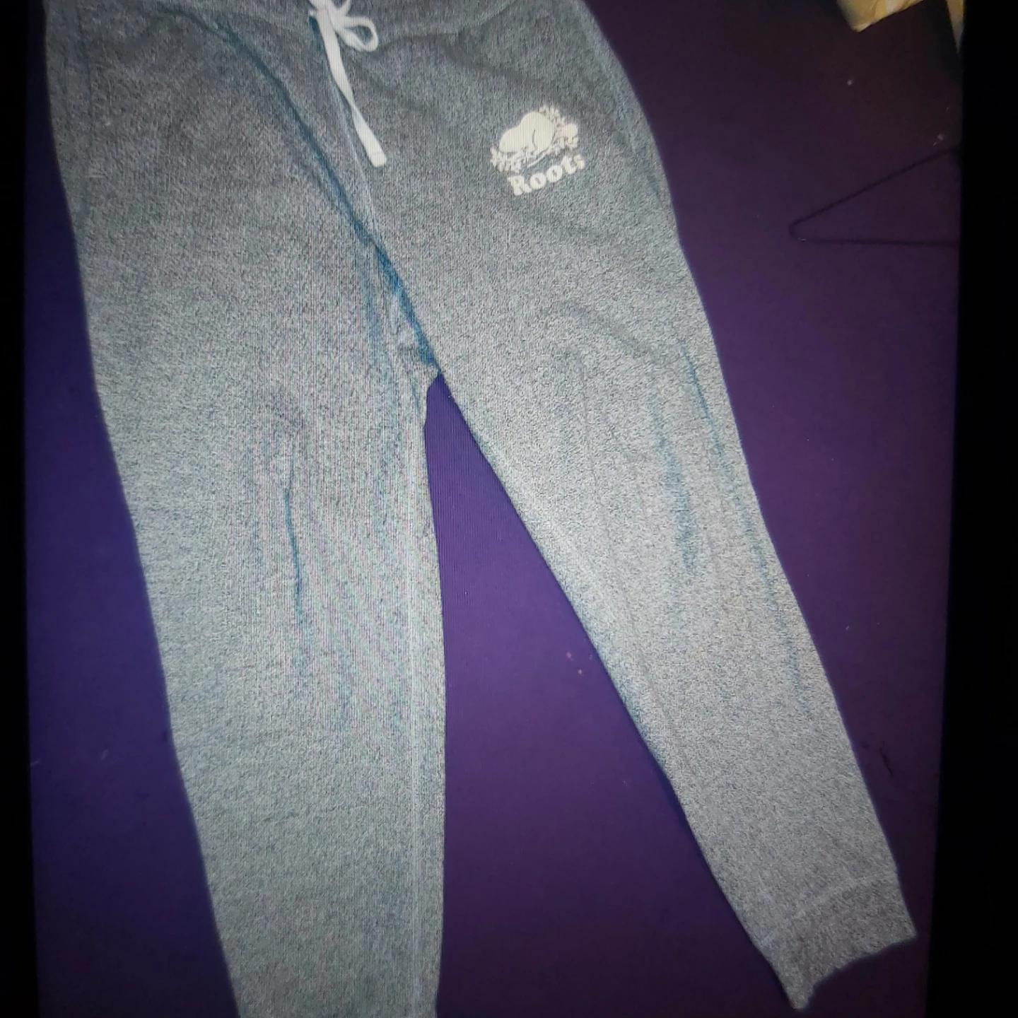 Roots Grey Hoodie and Sweatpants Set - photo 3