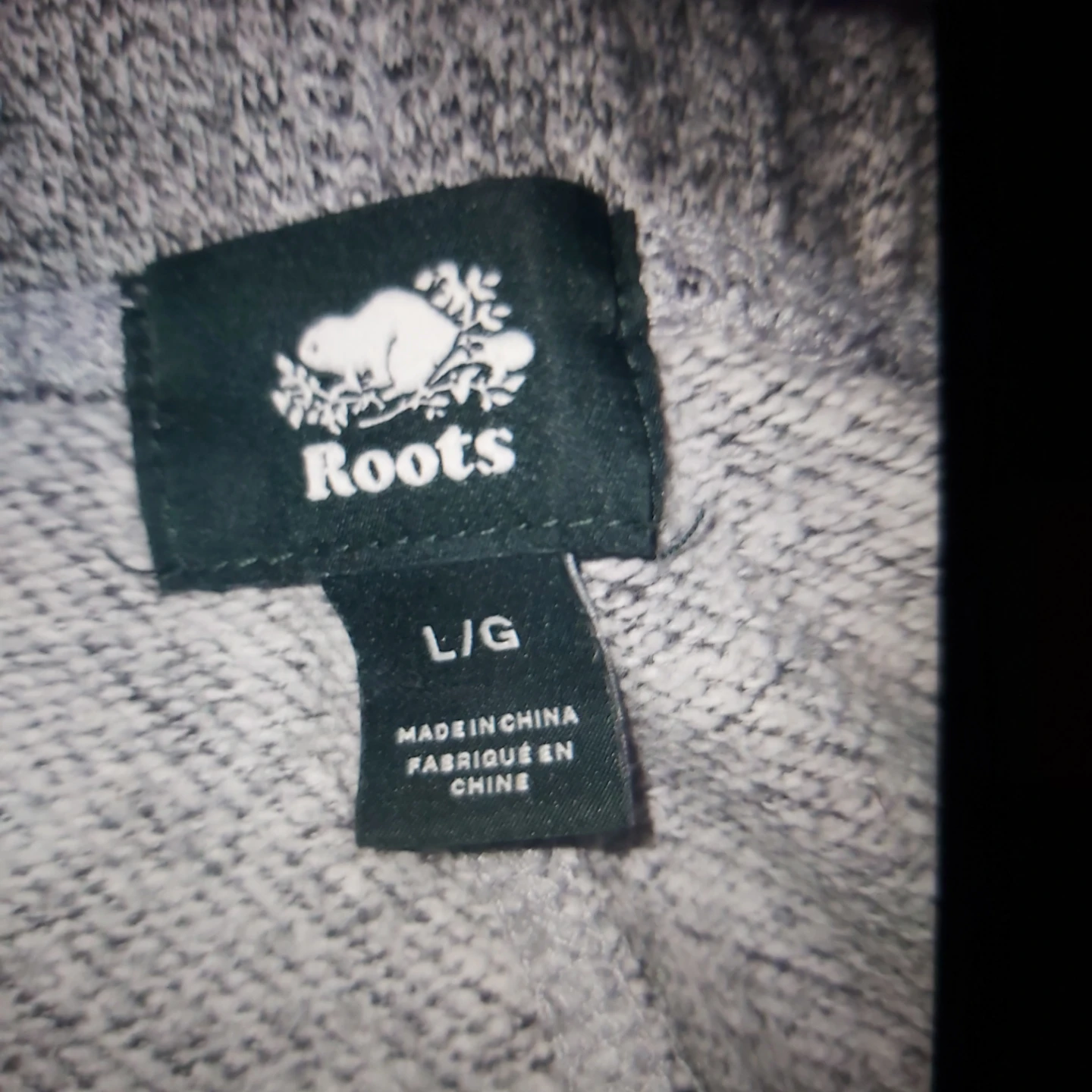 Roots Grey Hoodie and Sweatpants Set - photo 4