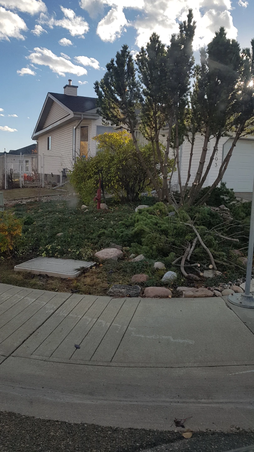 Belmont Bungalow For Sale by Owner
