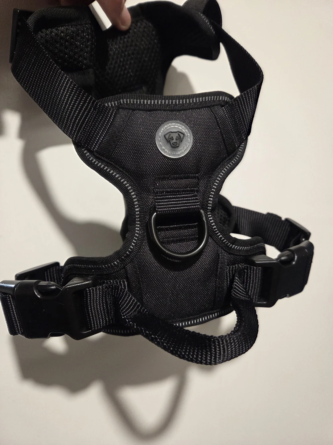 Black Dog Harness