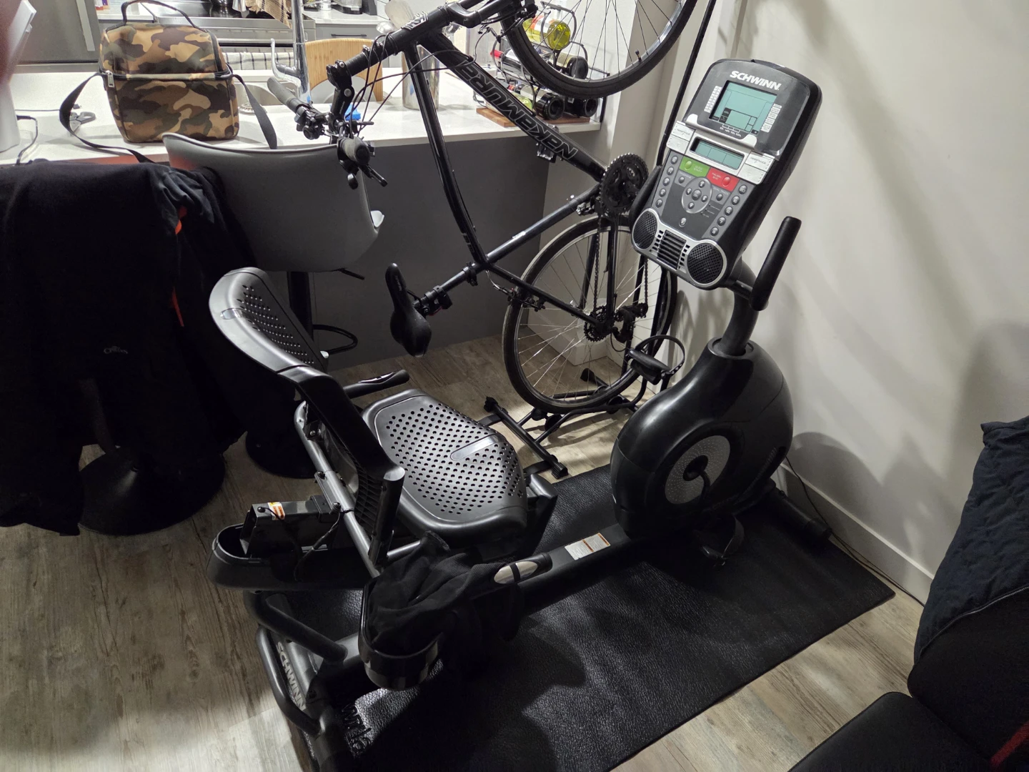 Schwinn Recumbent Exercise Bike - photo 3