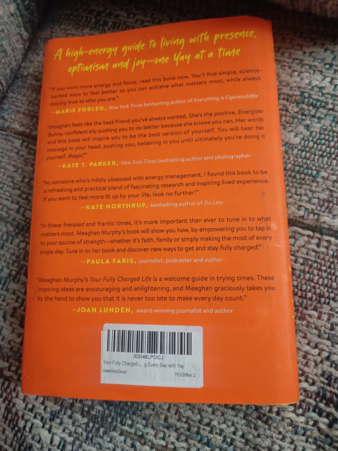 Your Fully Charged Life by Meaghan B Murphy Book - photo 2