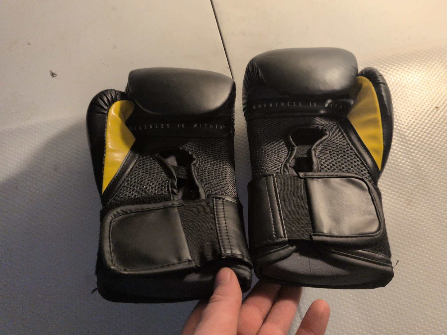 Everlast Elite Training Gloves 10 oz - photo 4