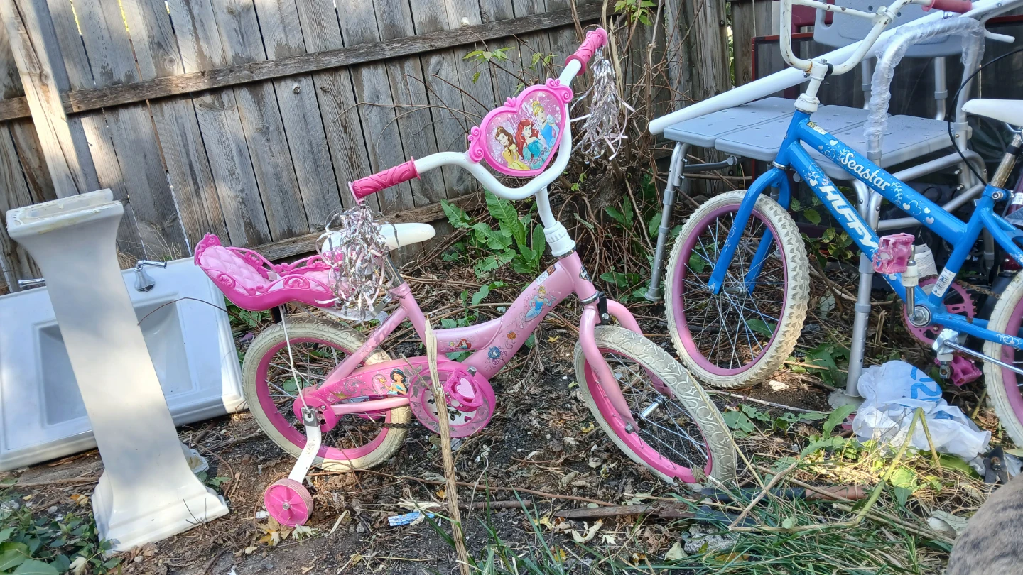 Pink Disney Princess Kids' Bike with Training Wheels