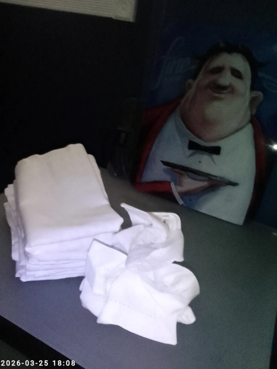 Catering and Dining clothe table napkins. - photo 4