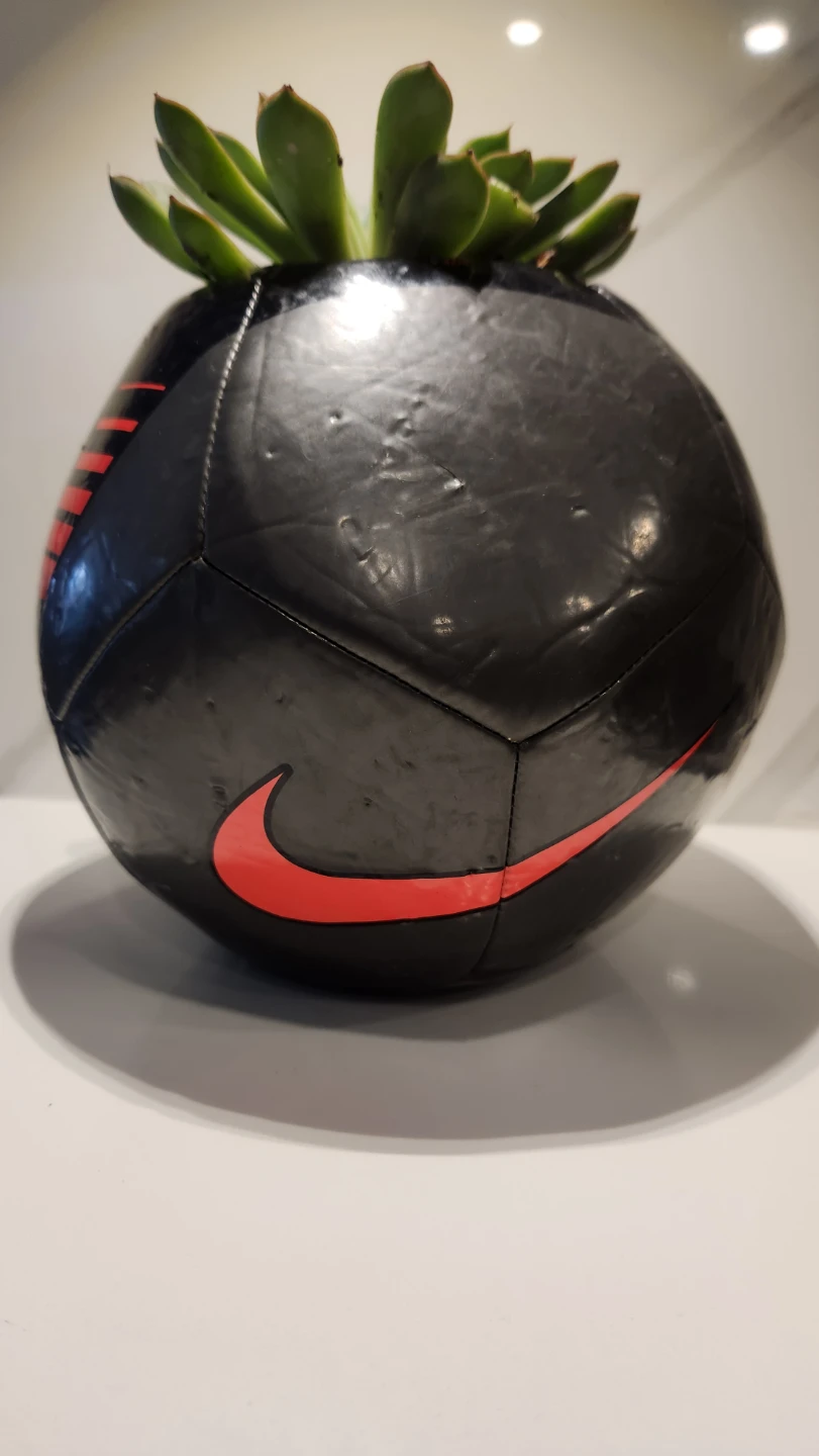Upcycled soccer ball planter with succulent - photo 4