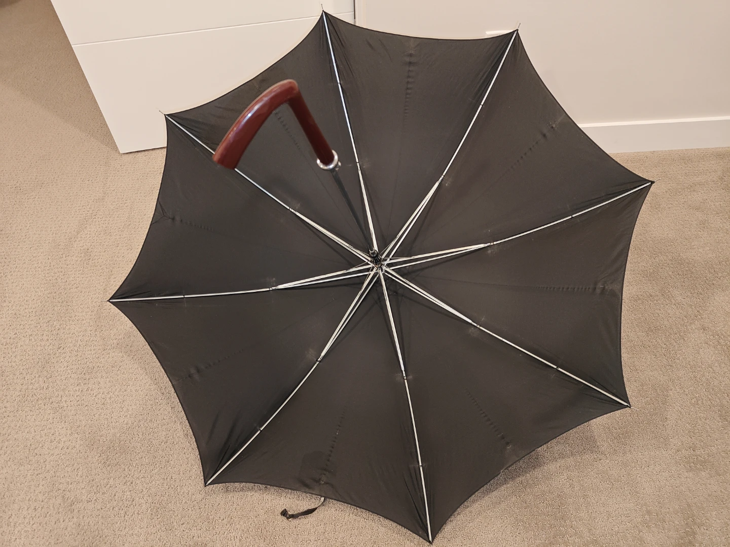 2-in-1 Walking Stick Umbrella - Automatic Open - 40" Canopy - photo 5