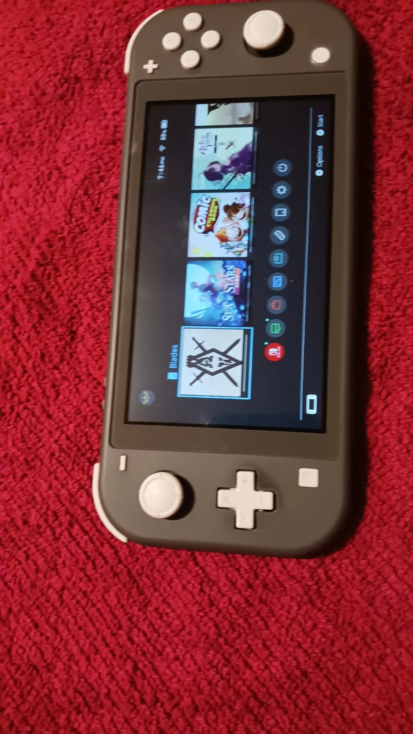 Nintendo Switch Lite (Gray)