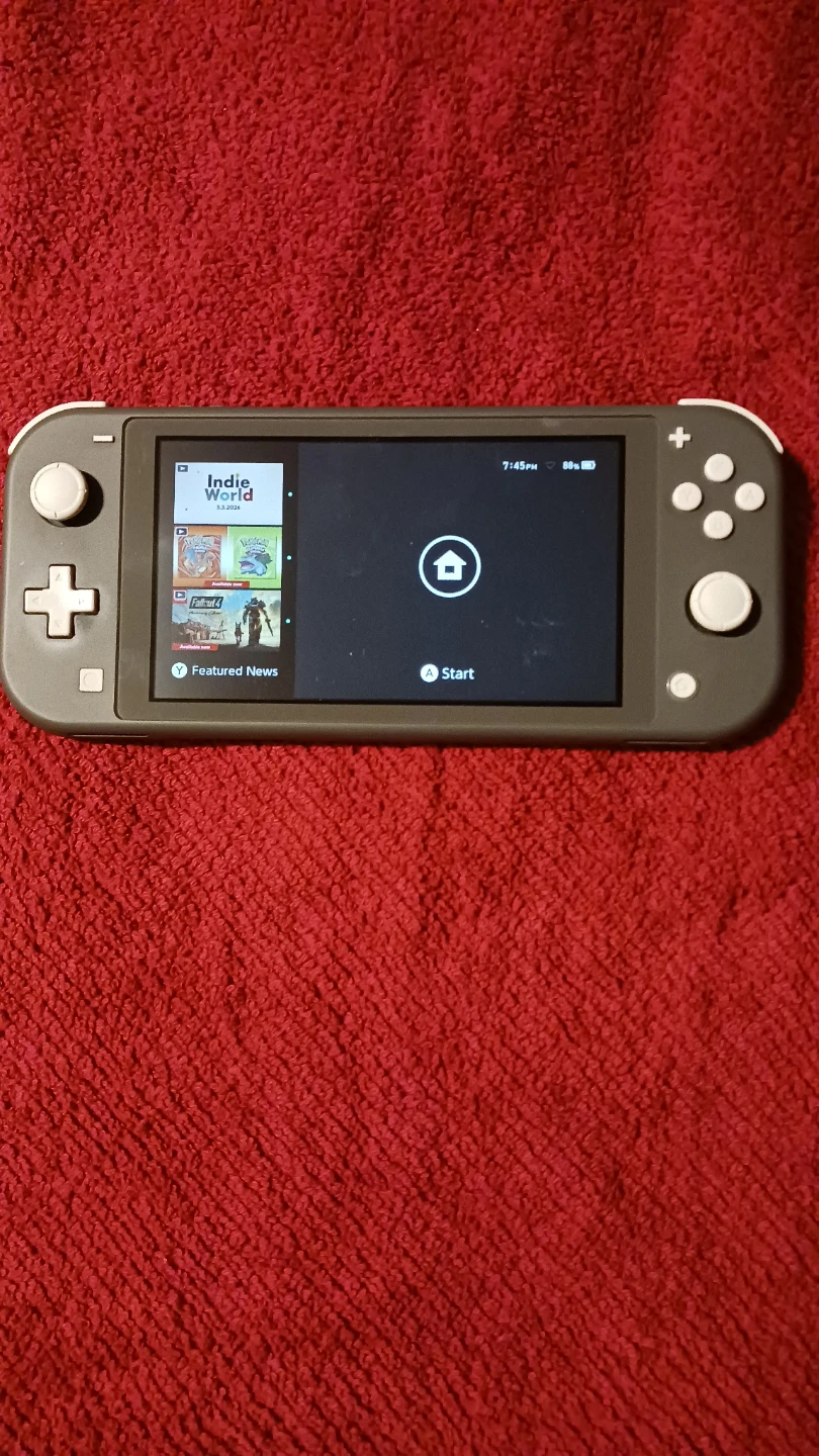 Nintendo Switch Lite (Gray) - photo 2