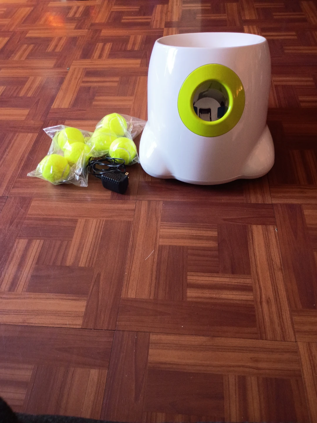 Automatic Dog Ball Launcher with 6 Tennis Balls