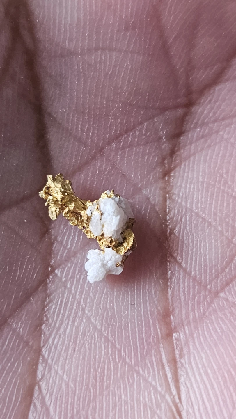 Natural Gold Nugget with Quartz