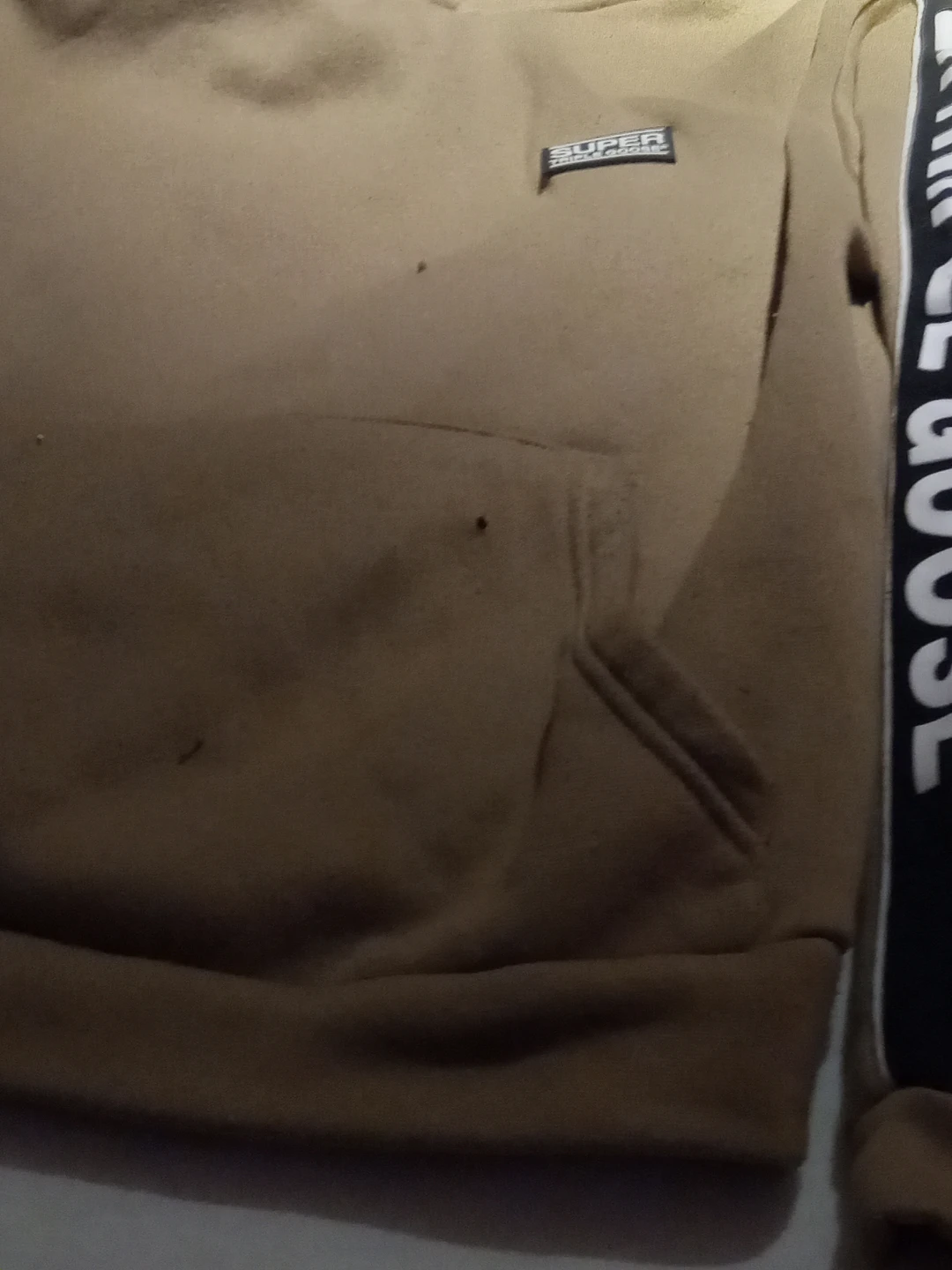 SUPER TRIPLE GOOSE Hoodie S/P - photo 2