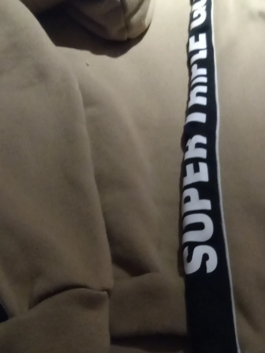SUPER TRIPLE GOOSE Hoodie S/P - photo 5