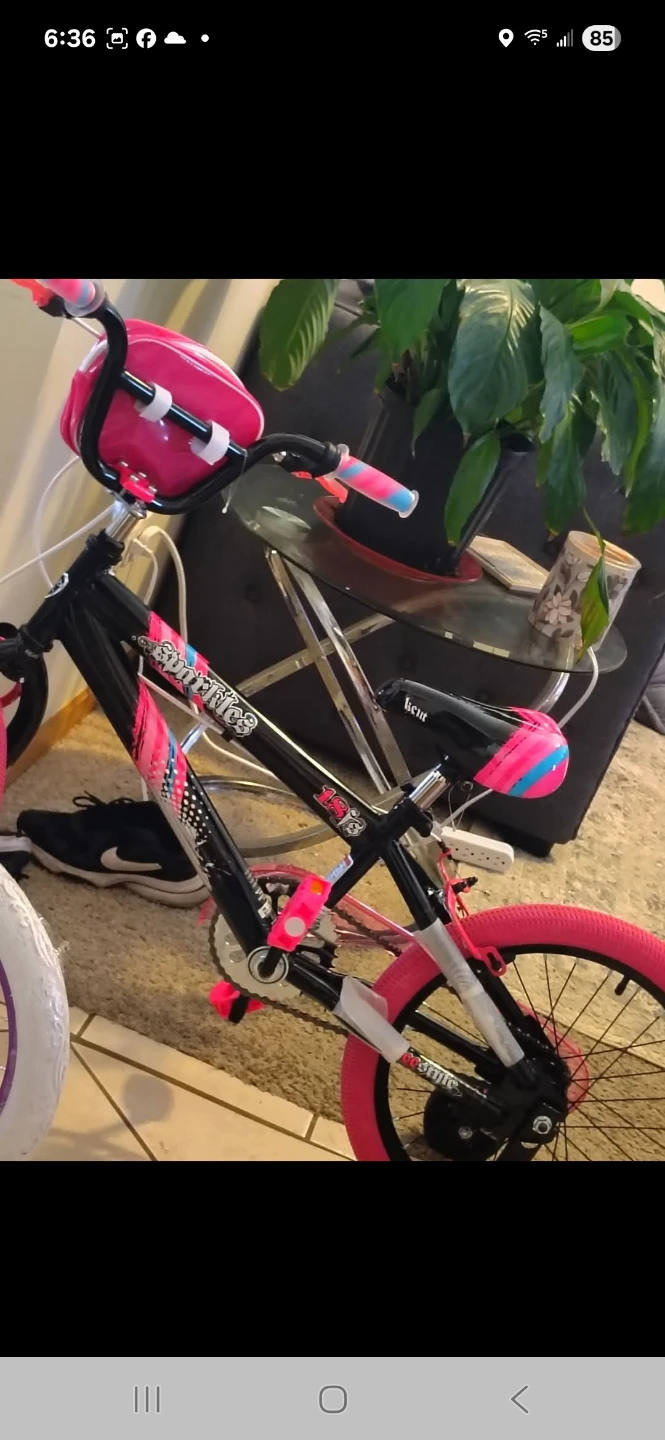 Free bike
